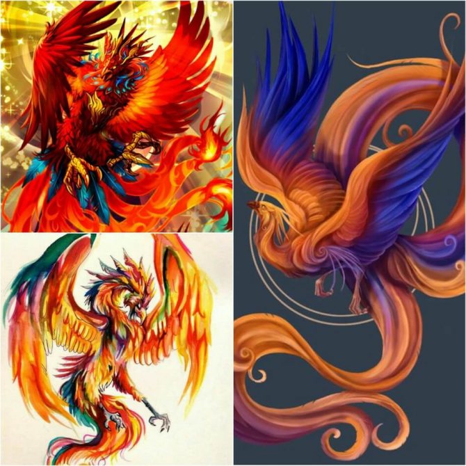 Tattoo Phoenix - Croquis de tatouage Phoenix - Croquis de tatouage Phoenix