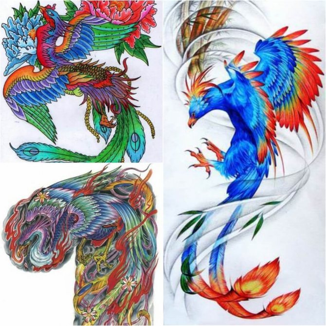 Tattoo Phoenix - Croquis de tatouage Phoenix - Croquis de tatouage Phoenix