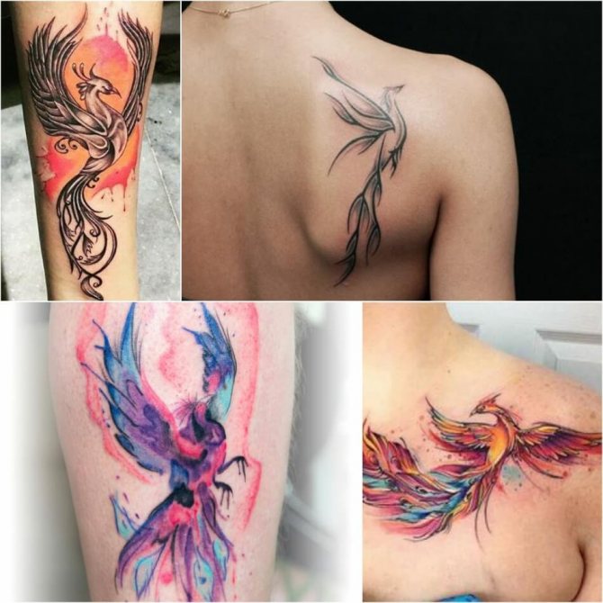 Tattoo Phoenix - Tatouage du phénix sur l'omoplate - Tatouage du phénix sur l'omoplate