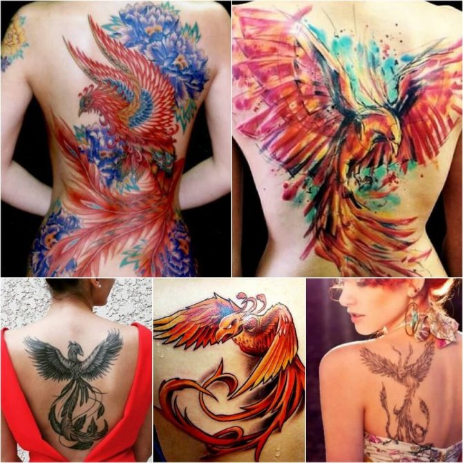 Tattoo Phoenix - Tattoo Phoenix sur le dos - Tattoo phoenix sur le dos