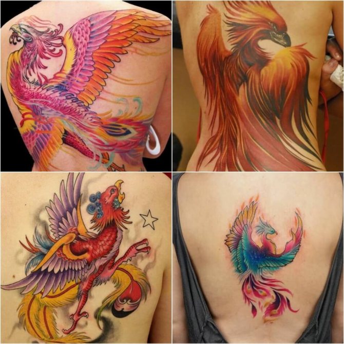 Tattoo Phoenix - Tattoo Phoenix sur le dos - Tattoo phoenix sur le dos