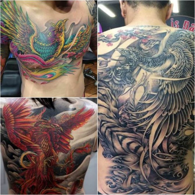 Tattoo Phoenix - Tattoo Phoenix dans le style japonais - Tattoo Phoenix Japan
