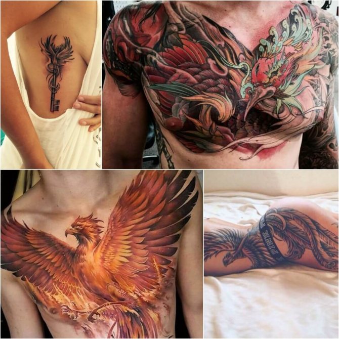 Tattoo Phoenix - Signification du tatouage Phoenix - Signification du tatouage Phoenix