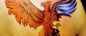 tatouage phoenix
