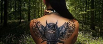 tatouage aigle hibou