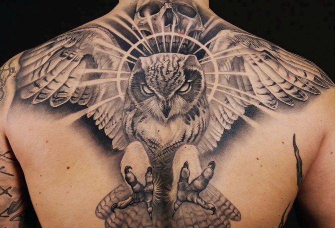 tatouage aigle hibou