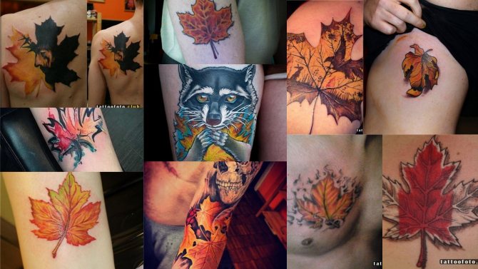 Photo de tatouage avec un érable