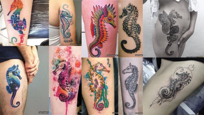 tatouage photo d'hippocampe