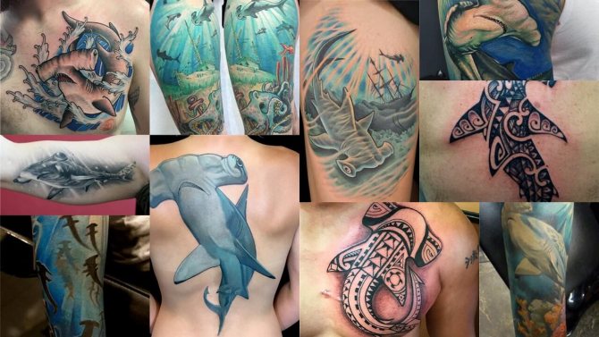 tatouage photo d'un poisson marteau
