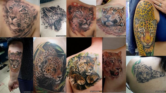 Photos de tatouages de Jaguar