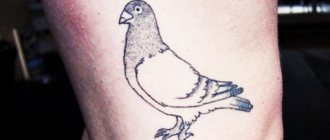 Tatouage d'une colombe