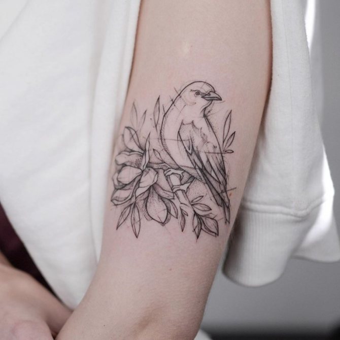 graphisme de tatouage