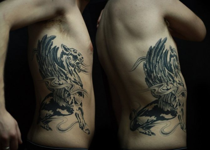 Gryphon tatoué sur le côté mâle