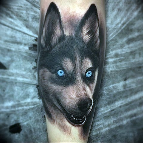 Tatouage de husky - photo
