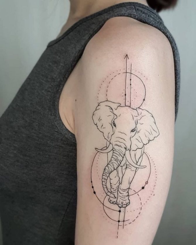 Signification du tatouage de l'éléphant indien