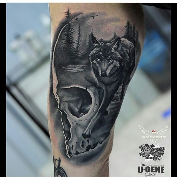 Tatouage d'un loup dans un crâne