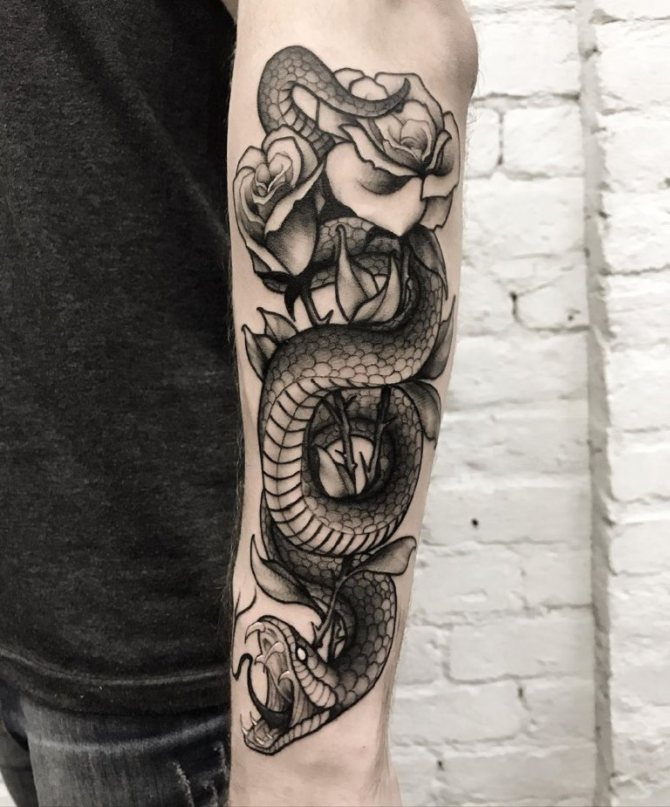 tatouage de cobra sur l'épaule
