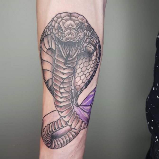 signification du tatouage cobra