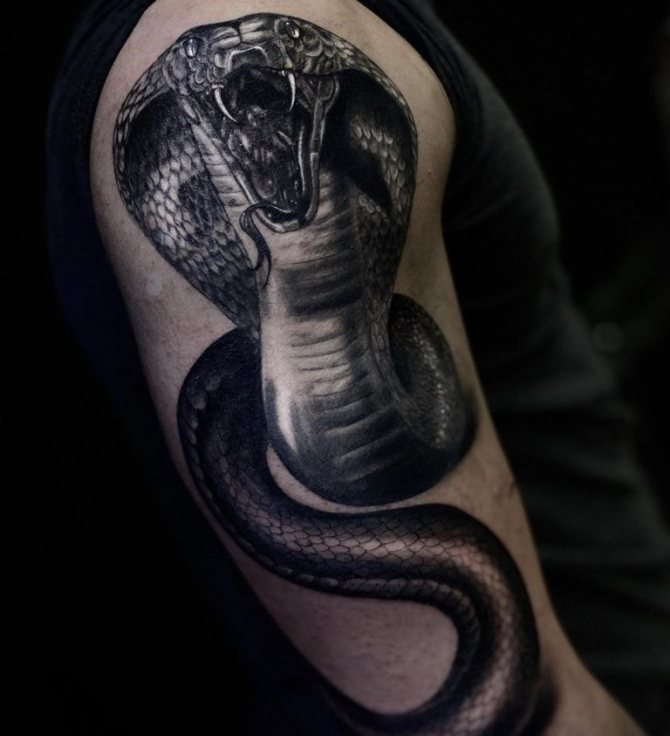 signification du tatouage cobra