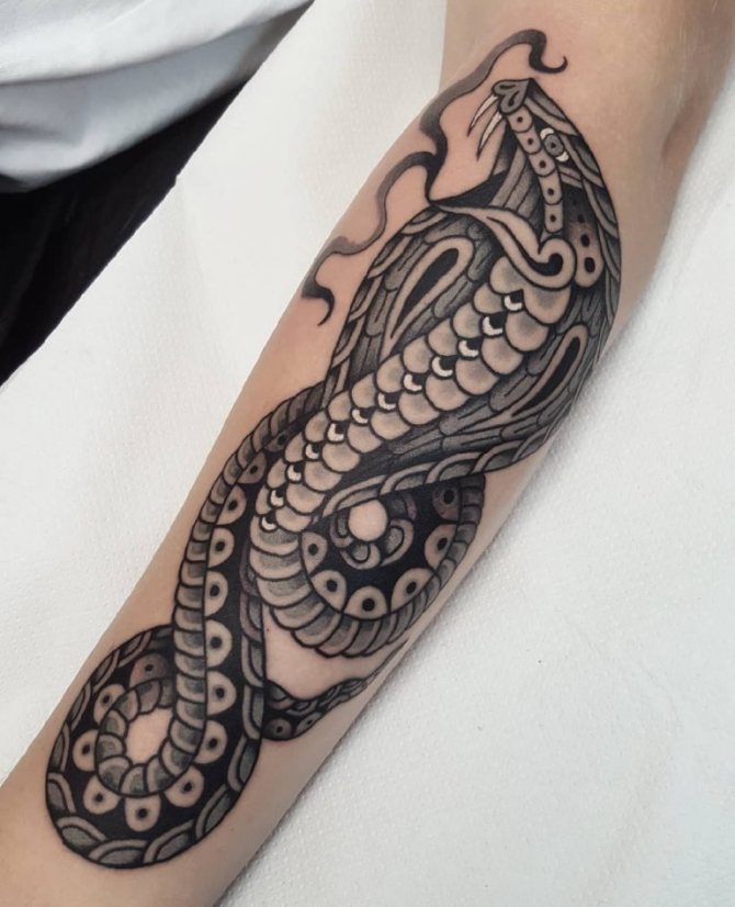 tatouage cobra
