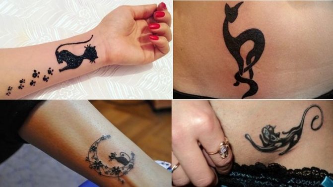 Croquis d'un chat tatoué