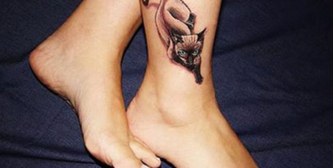 Dessin de tatouage de chat