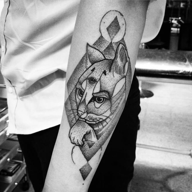 Tattoo cat - Tattoo Abstraction Cat - Tattoo Abstraction Cat