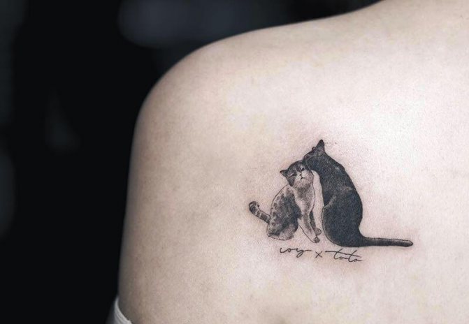 Tattoo chat - Portrait de chat