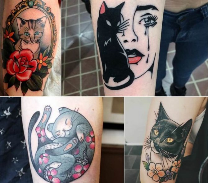 Tattoo old school cat
