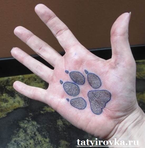 Tatouage-lapa-et-les-moyens-4