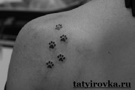 Tatouage lapa-et-les-mensonges-6