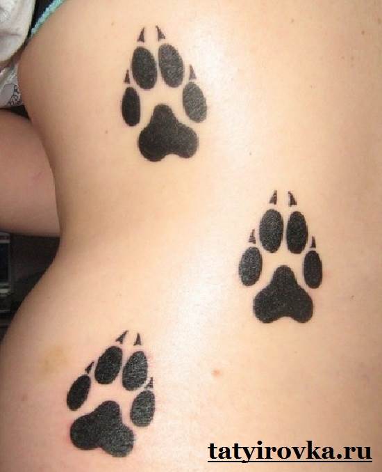 Tatouage-lapa-et-les-moyens-7