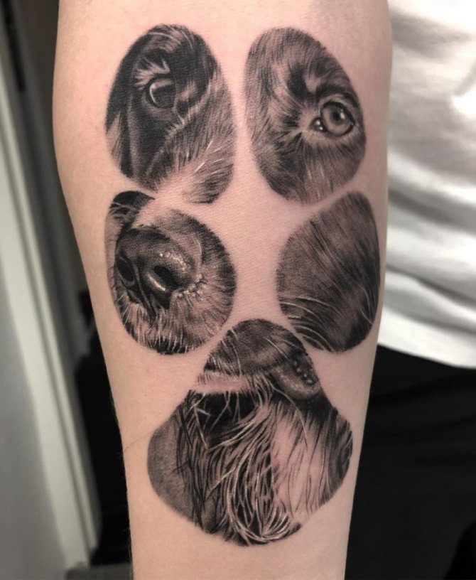 tatouage de patte de chien