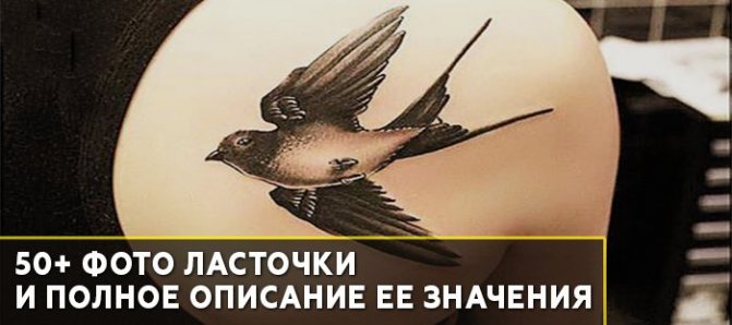 Signification de Tattoo Swallow