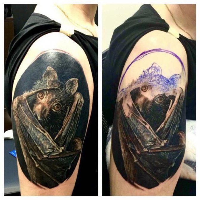 Réalisme du tatouage de chauve-souris sur l'épaule