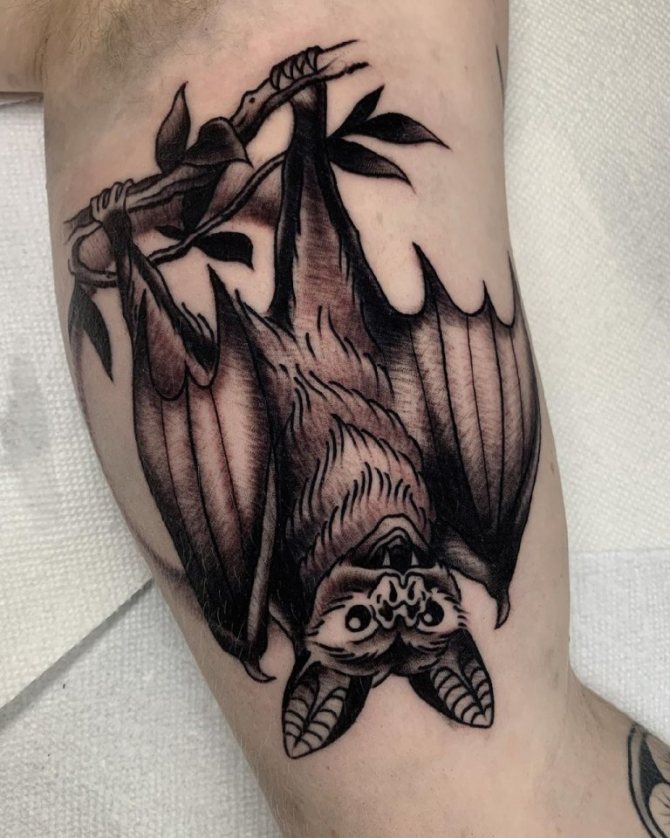 tatouage de chauve-souris