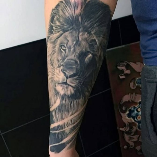 tatouage lion blackwork réalisme sur avant-bras