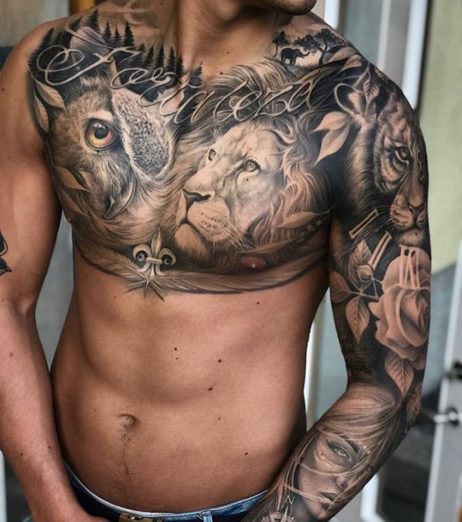 Lion et hibou tatoués