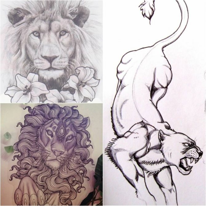 Tattoo Lion - Esquisses de tatouage de Lion - Exemples d'esquisses de tatouage de Lion