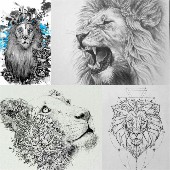 Tattoo Lion - Esquisses de tatouage de lion - Exemples d'esquisses pour un tatouage de lion