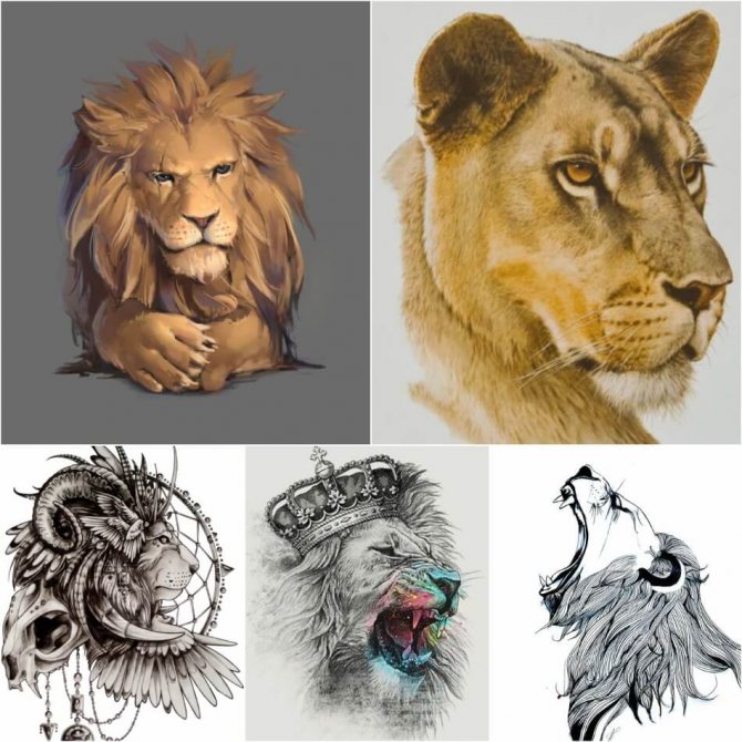 Tattoo Lion - Esquisses de tatouage de Lion - Exemples d'esquisses de tatouage de Lion