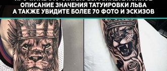 Signification du tatouage du lion