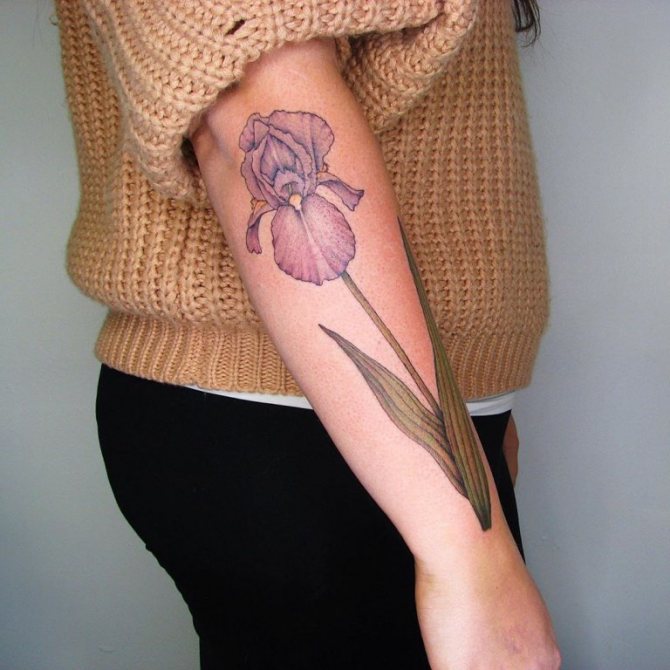 Signification du tatouage d'un lys sur le bras d'une fille