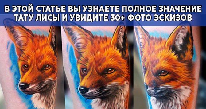 Signification du tatouage du renard