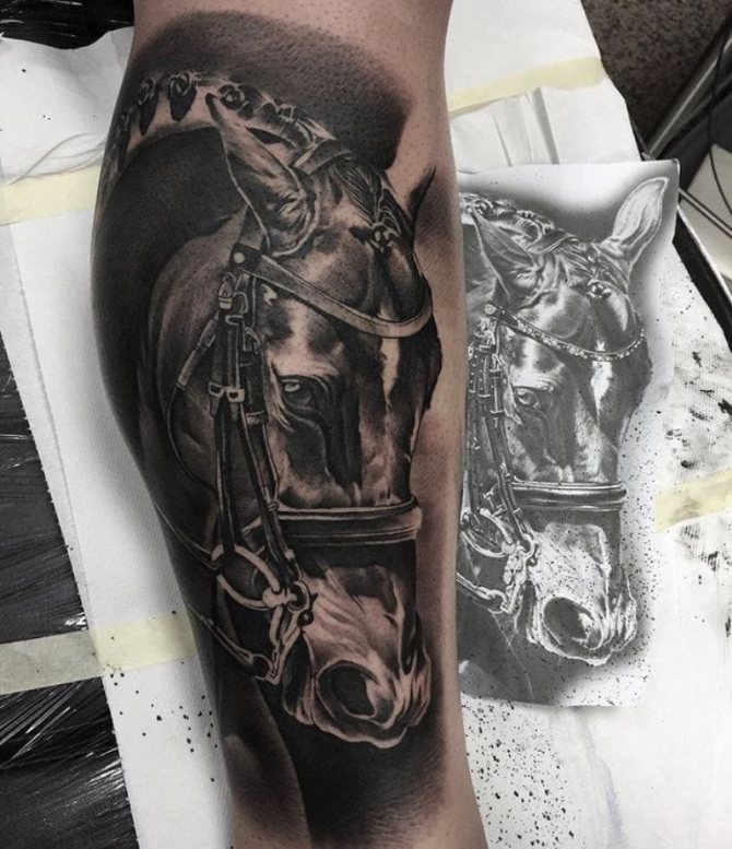 tatouage de cheval