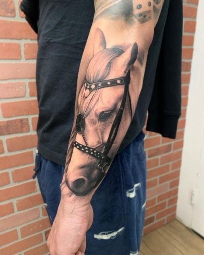 photos de tatouages de chevaux