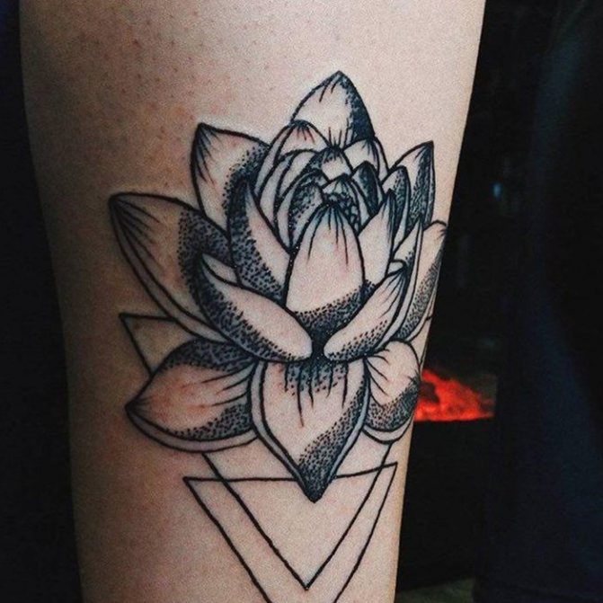 tatouage de lotus
