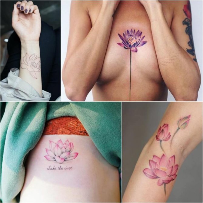 Tatouage du lotus - Signification et symbolisme du tatouage du lotus