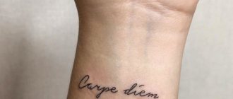 Tattoo Catch the moment en latin (carpe diem). Croquis, photo, signification