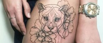 Tatouage d'une lionne pour les filles. Signification, photo sur bras, jambe, dos, hanche, épaule, poignet, omoplate
